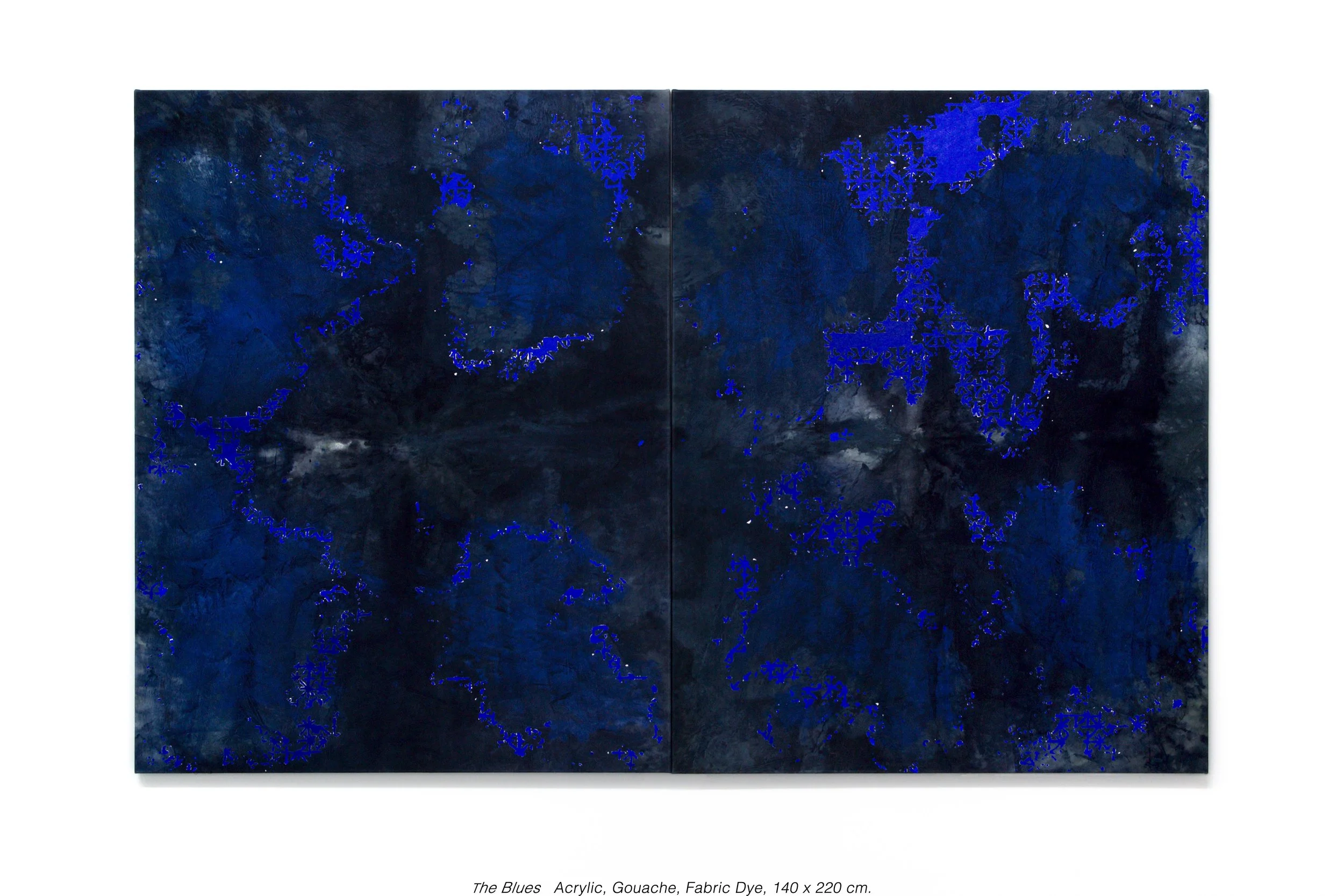 Distance Discipline — Nina Yushan Lai